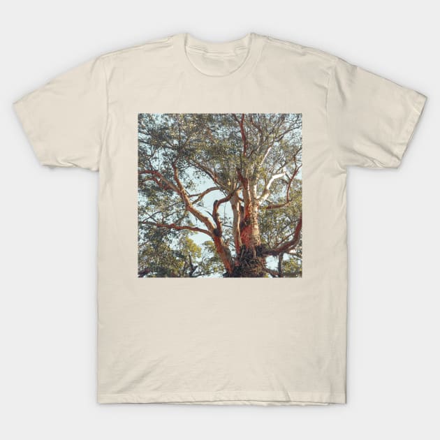 Tree Branch T-Shirt by ArtNimexion